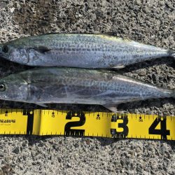 3連休3釣行⁉️