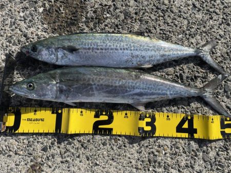 3連休3釣行⁉️