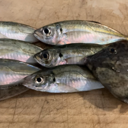 旅先ちょこっとライトゲーム