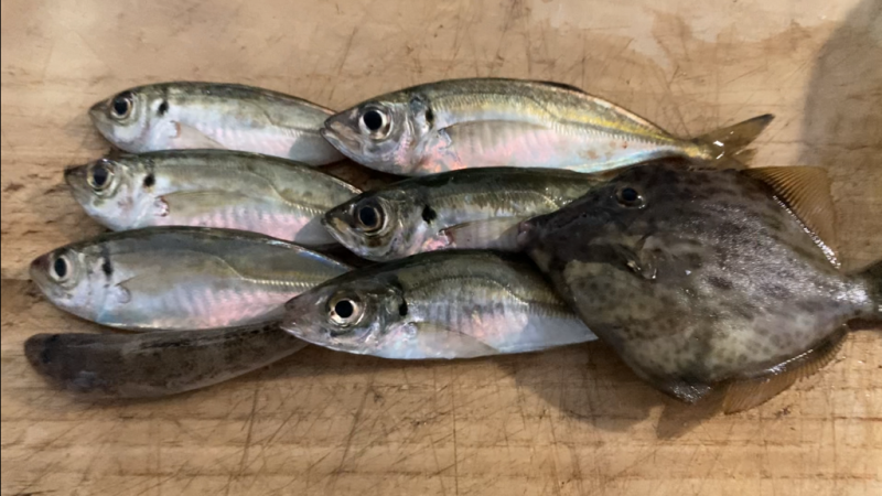 旅先ちょこっとライトゲーム