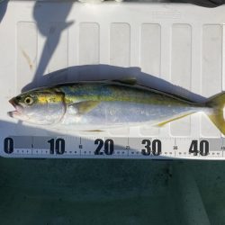 相性の良い潮も渋かった