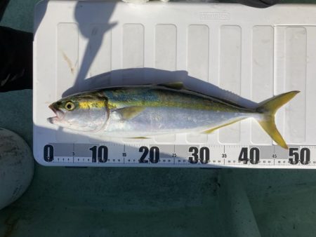 相性の良い潮も渋かった