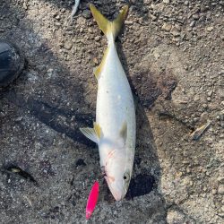 ショアジギング