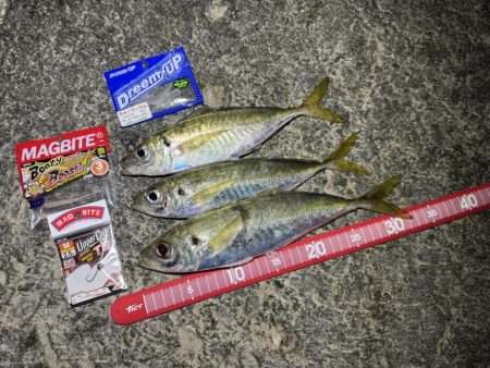 夕方砂場アジング