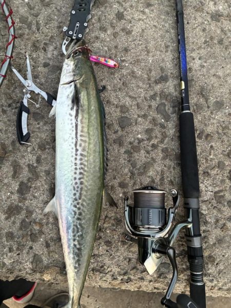 そろそろハマちゃんが釣りたい・・・