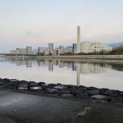 西宮浜チヌ40、32センチ