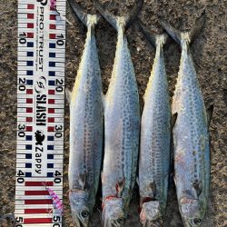 30分のフィーバータイム！