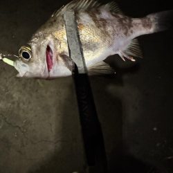 こんなはずではー