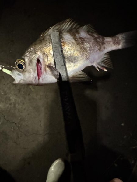 こんなはずではー