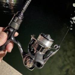 大阪湾奥アジング