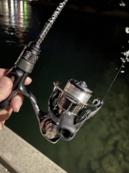 大阪湾奥アジング