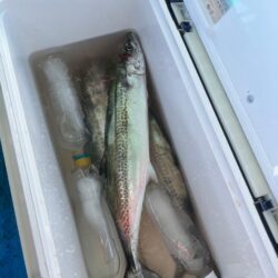 神戸キャスティング