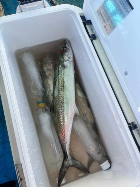 神戸キャスティング