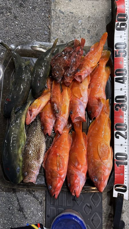 久しぶりの紀北ボート釣行