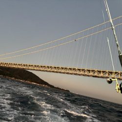 ノマセ釣りでタチウオ