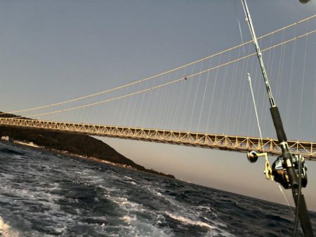 ノマセ釣りでタチウオ