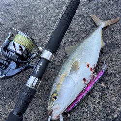 ショアジギング！