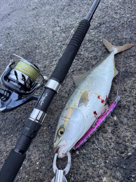 ショアジギング！