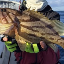 LJでホウキハタ連チャン!