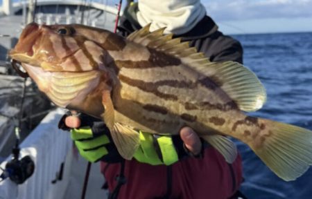 LJでホウキハタ連チャン！