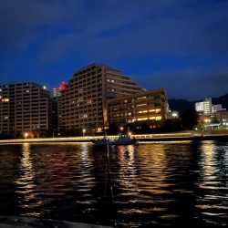 サゴシぼちぼち