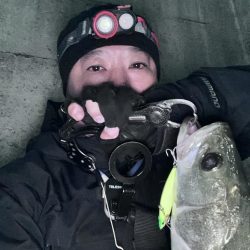 激シブでもボトルは何とかなる！