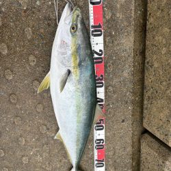 やっと出ました！