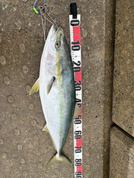 やっと出ました！