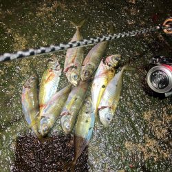 ちょっと渋かった