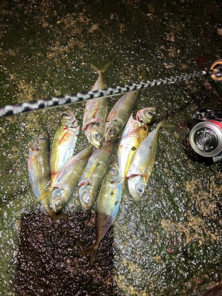 ちょっと渋かった