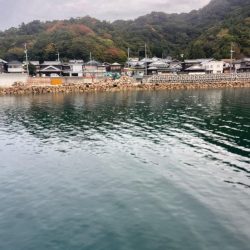 エギング好調でした！