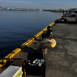 久しぶりの貝塚