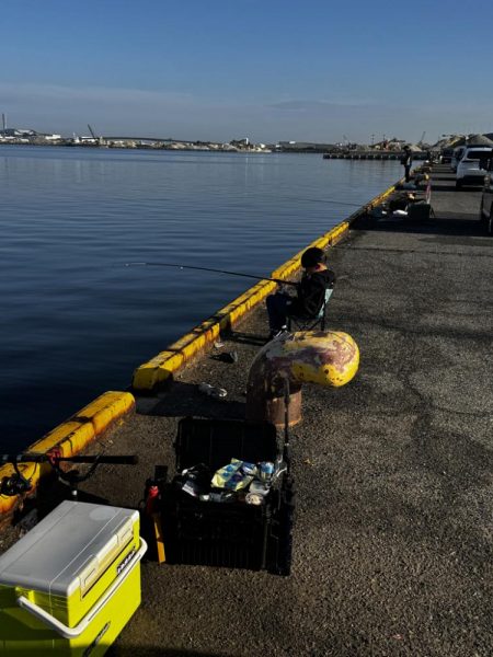 久しぶりの貝塚