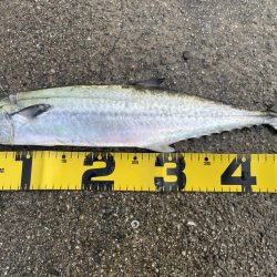 久しぶりに、、