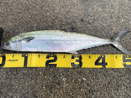 久しぶりに、、