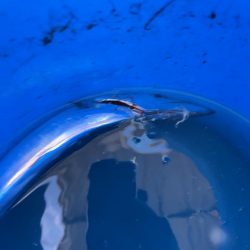 船からタチウオ