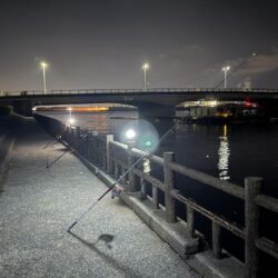 乗っ込みカレイ狙い