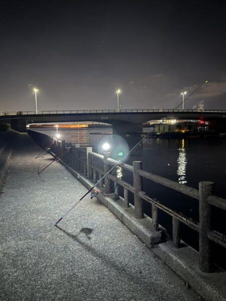 乗っ込みカレイ狙い