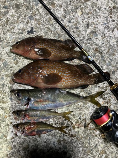 なんとか出ました