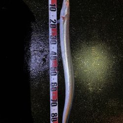 思わぬ釣果でした