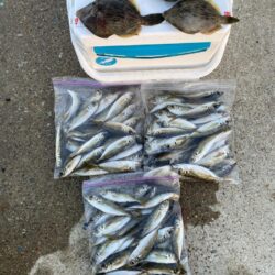 カワハギ&アジ一束釣り