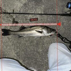 宮川氏！ネクストスピンで釣りました！