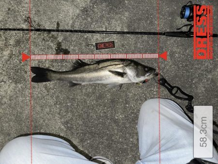 宮川氏！ネクストスピンで釣りました！