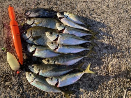 カゴ釣りと飛ばしサビキで