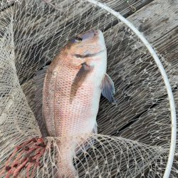 久しぶりの海恵♪