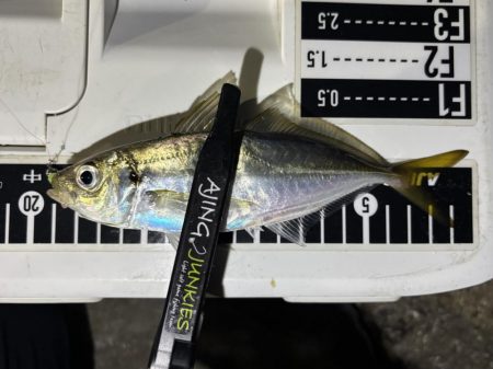 久しぶりのアジング