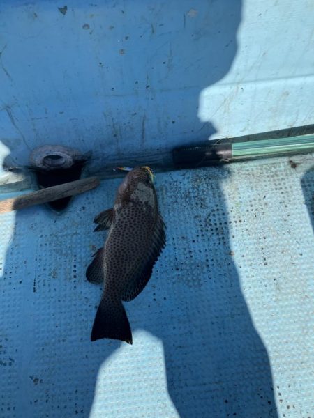 ボートエギングなど