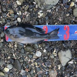 輪島市門前町深見 地磯フカセ