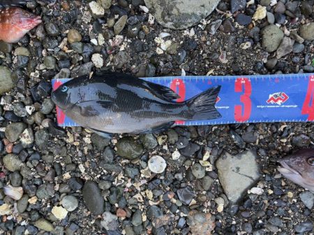 輪島市門前町深見 地磯フカセ