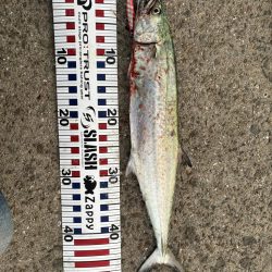 今日も海の恵みに感謝